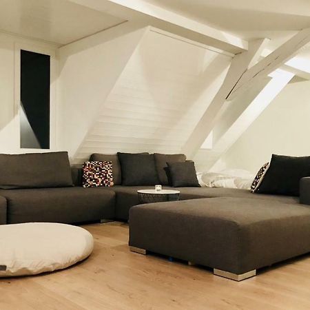 Luxury Penthouse Apartment Цюрих Экстерьер фото