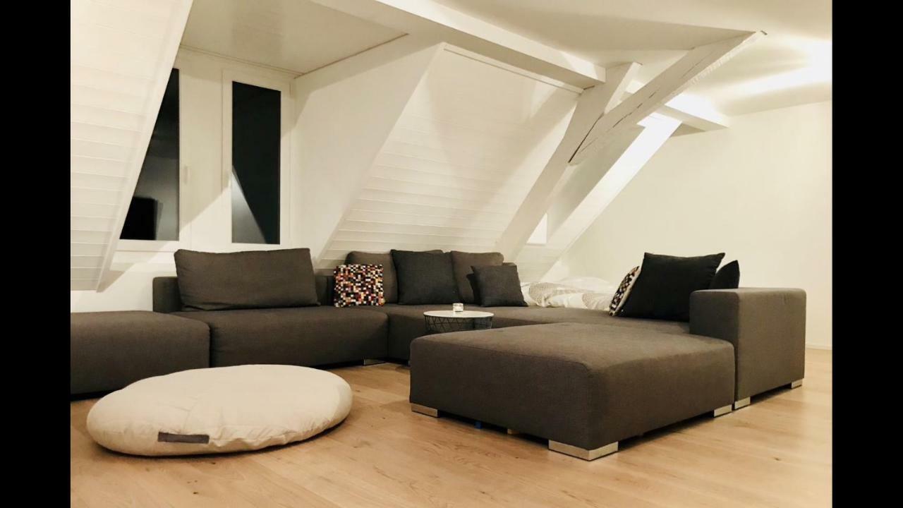 Luxury Penthouse Apartment Цюрих Экстерьер фото
